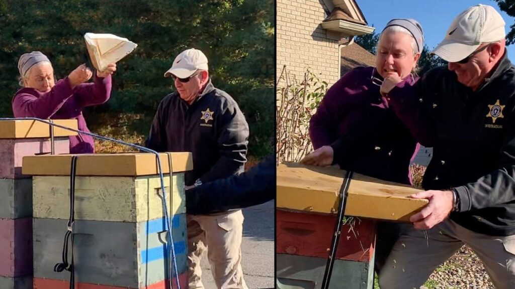 Longmeadow, Massachusetts Mujer ataca con abejas a oficiales para evitar desalojo