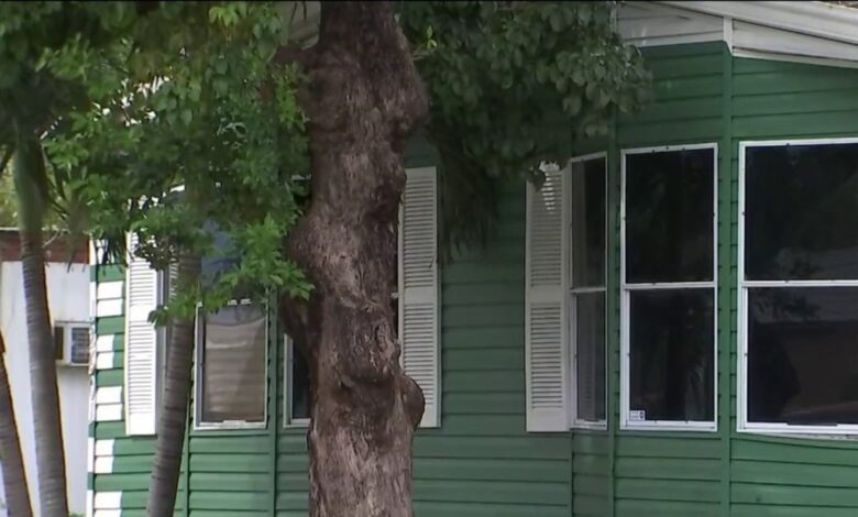 hispano disparó y mató a su esposa frente a su hija de 5 años