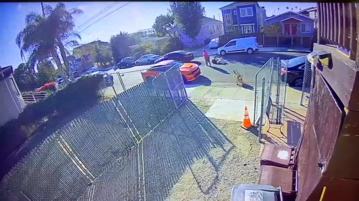 Bisabuela de Oakland confronta a criminal