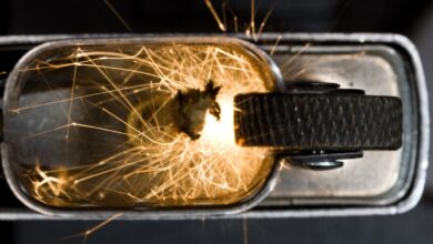 3 palancas de crecimiento que todo fundador de SaaS debería conocer