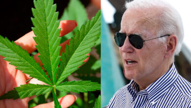 Anuncia Biden perdón a personas encarceladas por posesión simple de marihuana