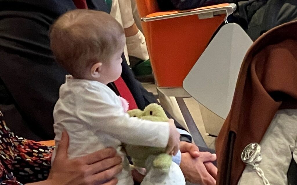 Bebé de 13 meses recibe exitoso trasplante de intestino