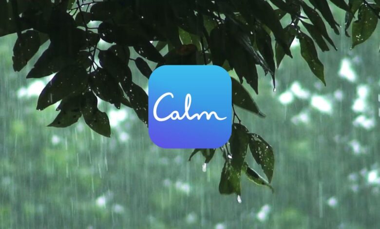 Calm lanza oferta clínica de salud mental, Calm Health