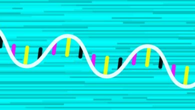 Circular Genomics usa ARN para evitar que los medicamentos para la depresión sean un juego de adivinanzas