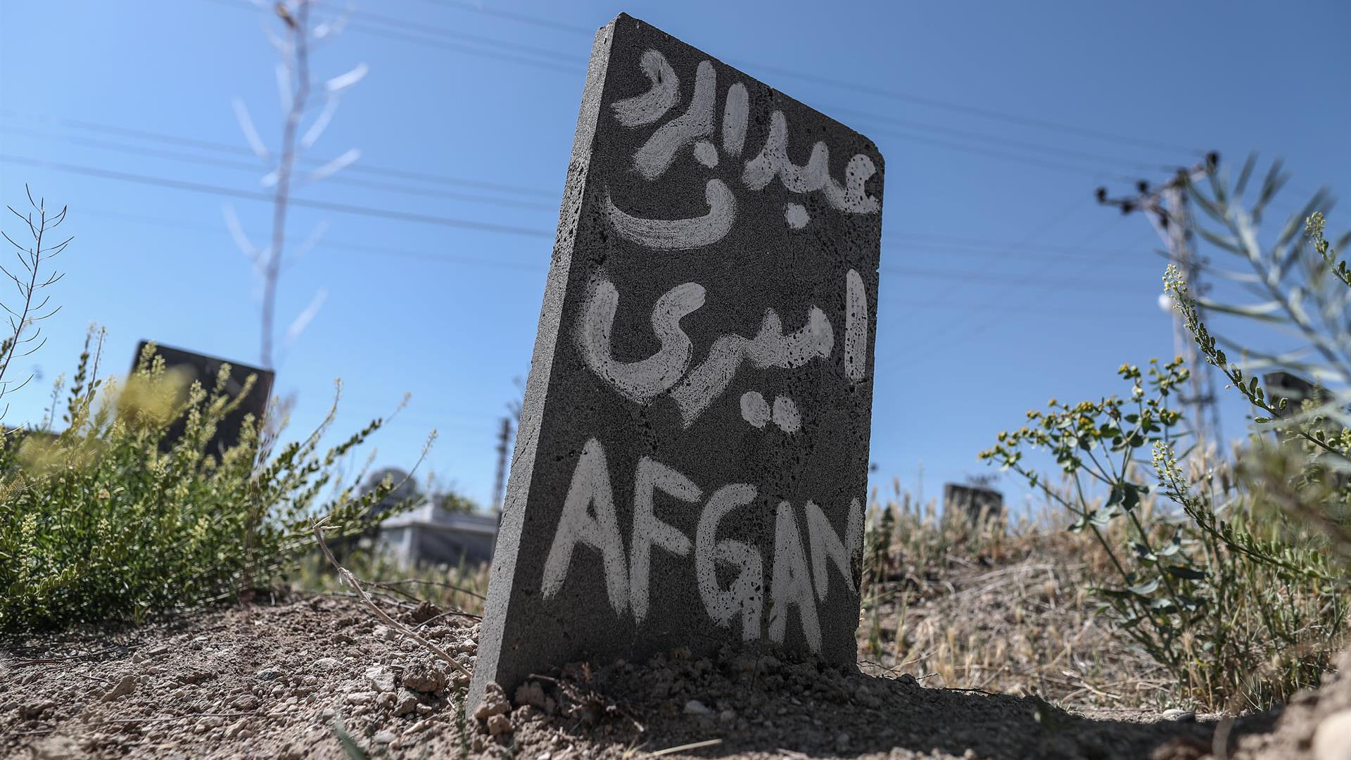 Condenan al capitán de un barco a más de 1,000 años de cárcel: te decimos por qué