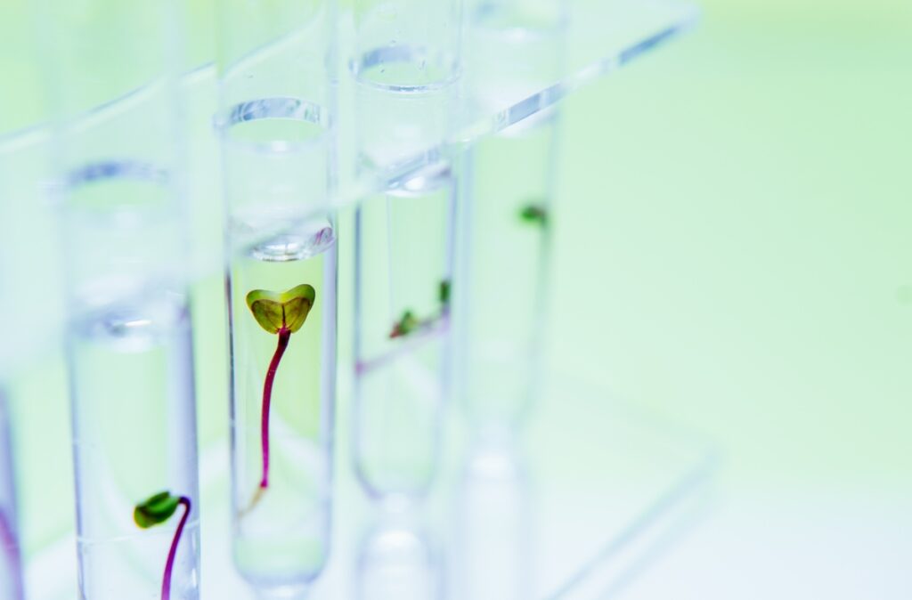 El Growth Hacking es realmente solo una prueba de crecimiento