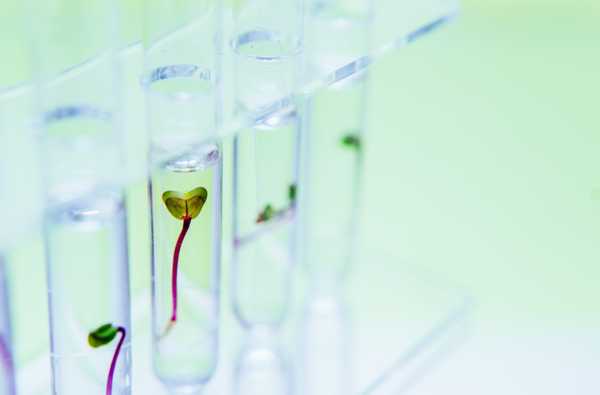 El Growth Hacking es realmente solo una prueba de crecimiento