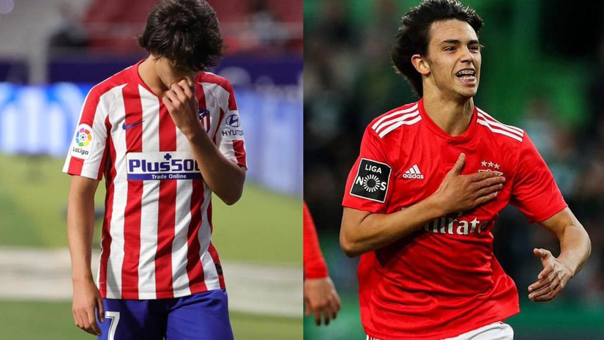 El entrenador del Benfica abre la puerta para el regreso de Joao Félix