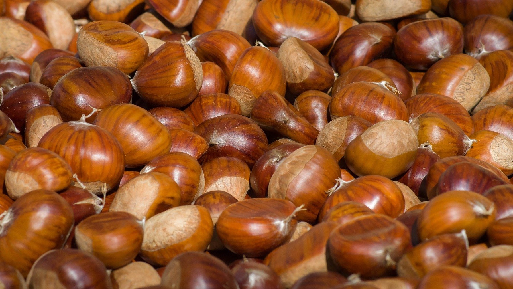 El truco más sencillo para pelar las castañas sin dejarte los dedos