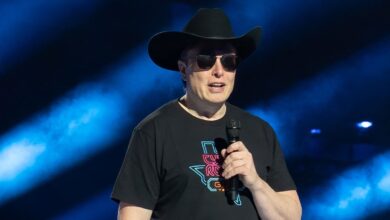 Elon Musk intervino nuevamente hoy: "Vete a la mierda es mi respuesta muy diplomática para ti"