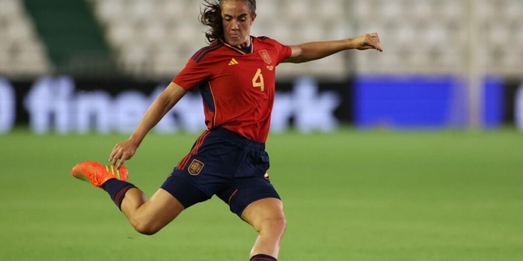 España jugará contra Japón el 15 de noviembre