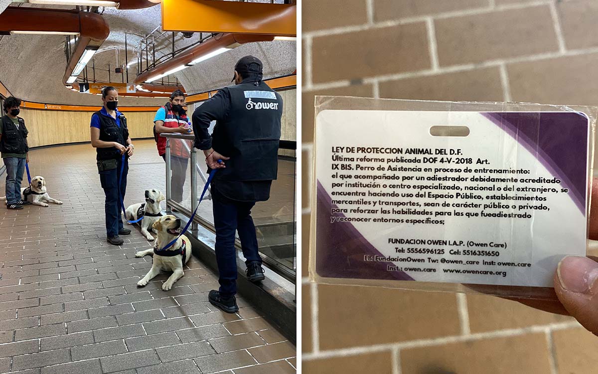 Impiden acceso al Metro de CDMX a perros de asistencia para personas con discapacidad | Video