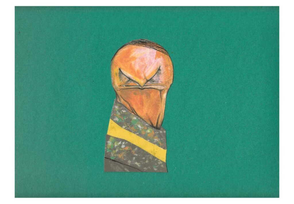 Jair Bolsonaro, la destrucción como estrategia