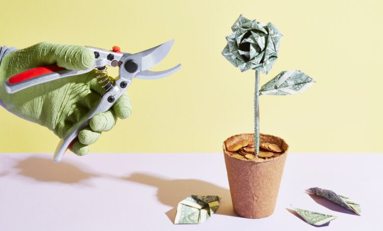 Lea esto antes de cambiar el precio de su producto SaaS debido a la recesión