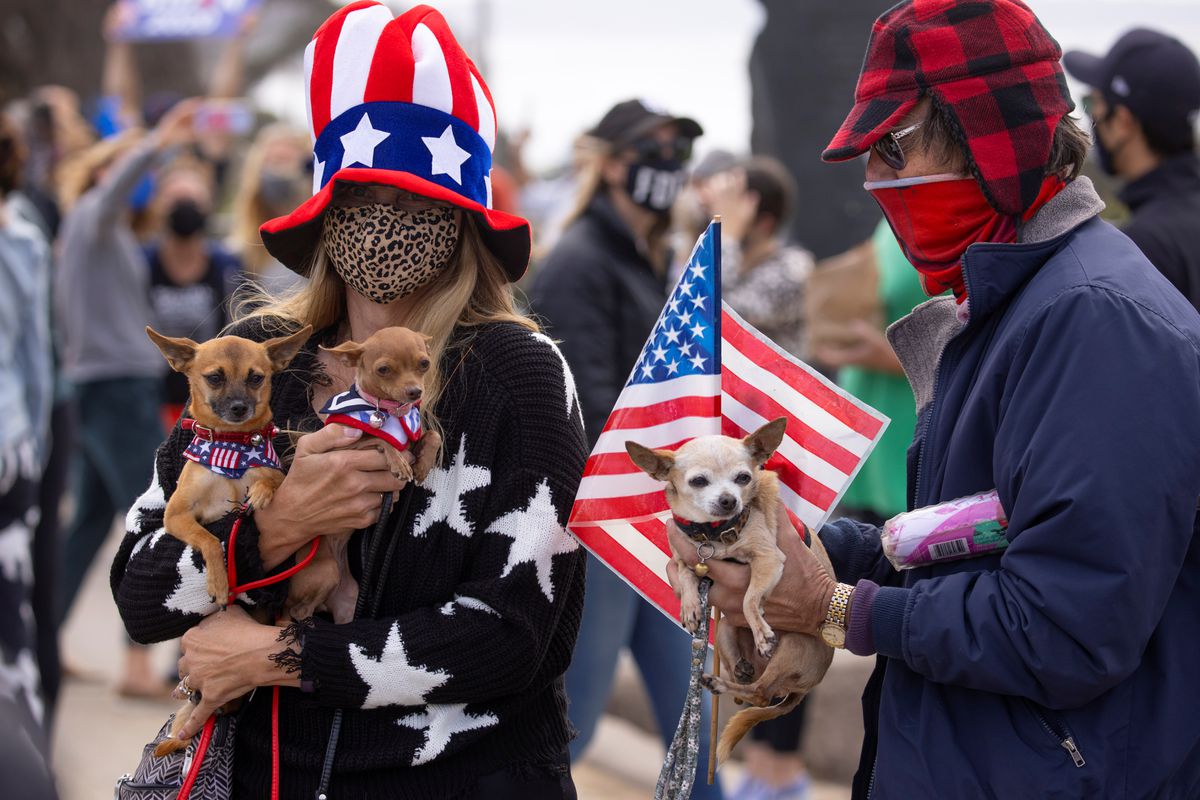 Los animales, armas de manipulación masiva