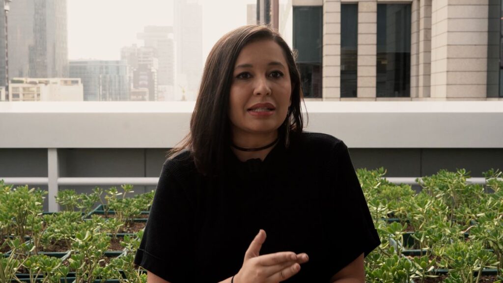 Los futuros que Brasil se juega en las urnas