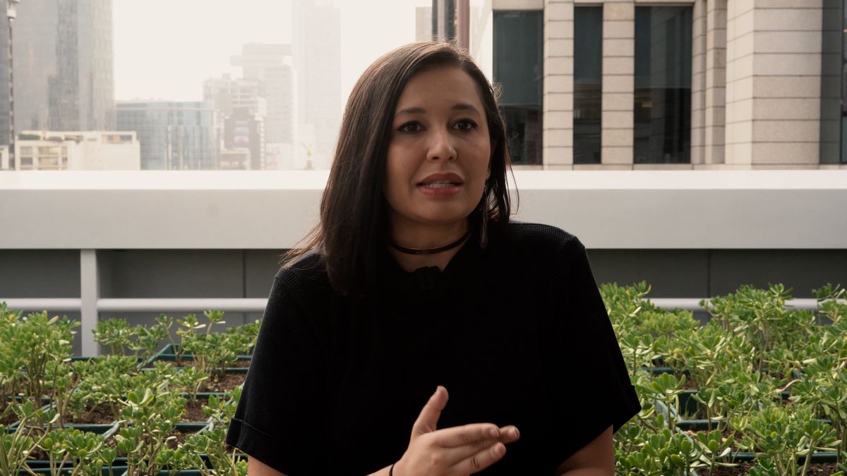 Los futuros que Brasil se juega en las urnas