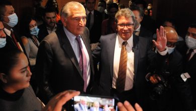 Palomea Segob cambios de Senado a dictamen para militarizar seguridad pública