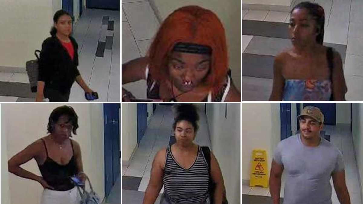 Policía de NY busca a grupo por hallazgo de mujer descuartizada