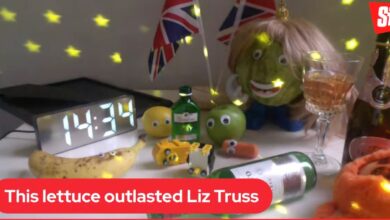 Reino Unido: Una lechuga venció a Liz Truss | Video