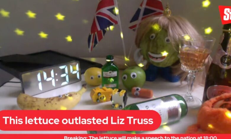 Reino Unido: Una lechuga venció a Liz Truss | Video