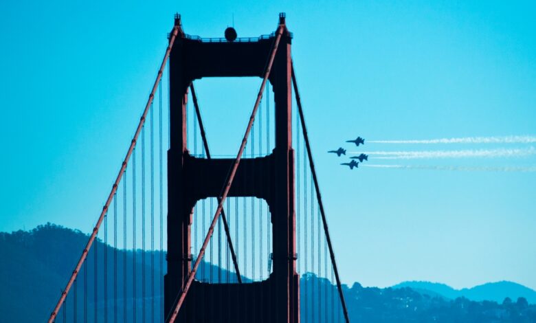 Resumen de TechCrunch+: patrocinios de tarjeta verde, acuerdos prenupciales de inicio, encuesta de capital de riesgo de agtech