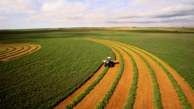 Si es agtech, es cambio climático: cómo la crisis está dando forma a las estrategias de los inversores
