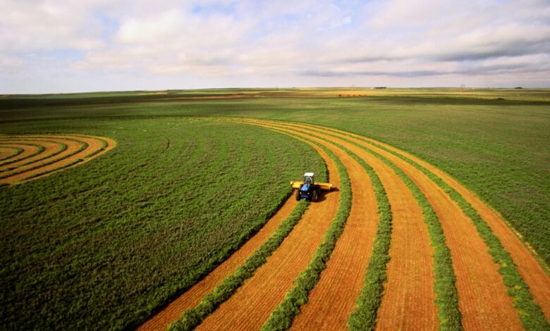 Si es agtech, es cambio climático: cómo la crisis está dando forma a las estrategias de los inversores