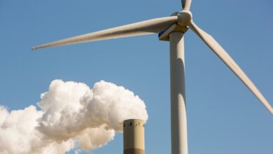 'Simplemente descarbonizar' no es suficiente: Third Nature apunta a un fondo de $ 35M