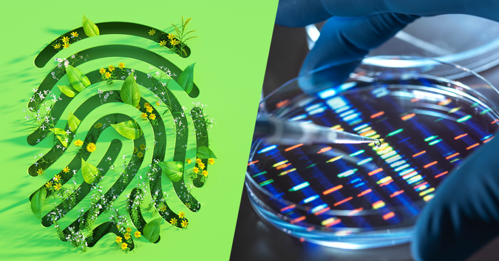 The Startup Battlefield 200: edición de tecnología climática y tecnología de la salud