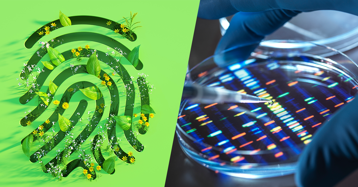 The Startup Battlefield 200: edición de tecnología climática y tecnología de la salud