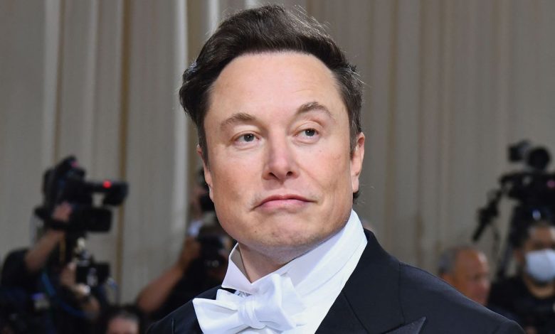 Twitter en la era Musk: servicios de pago y ¿la vuelta de Donald Trump?