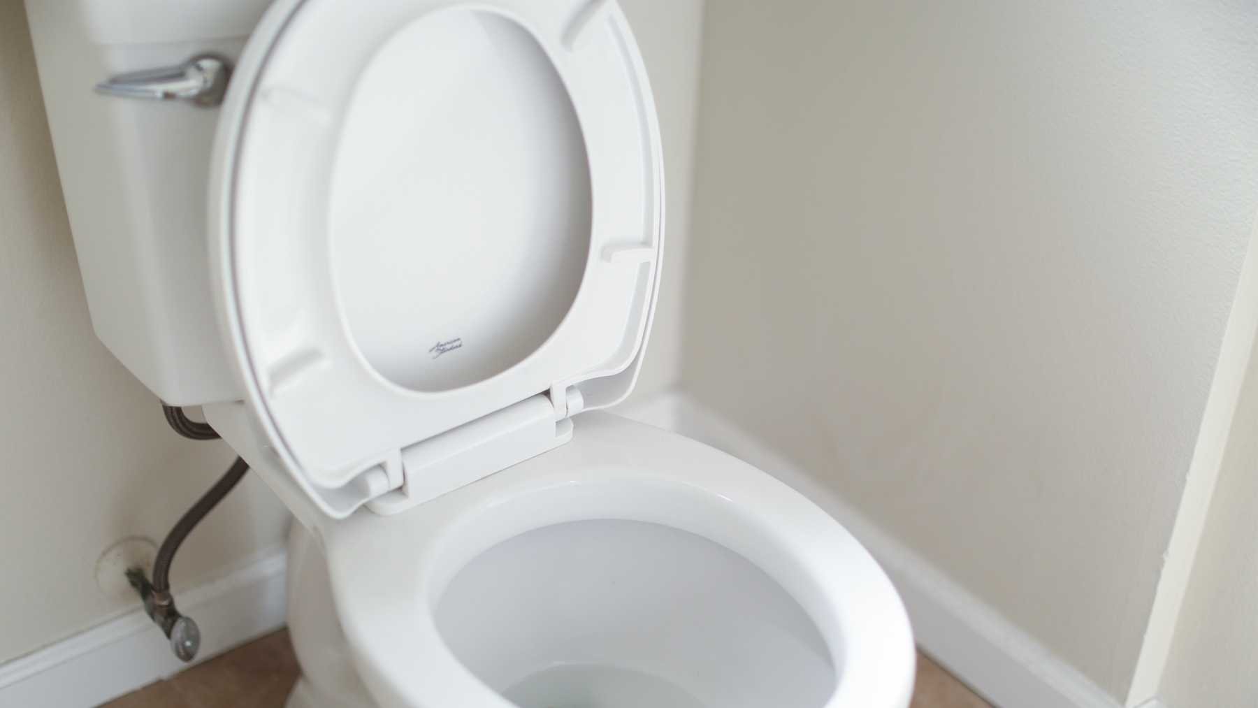 el tiempo real que toma hacer de vientre