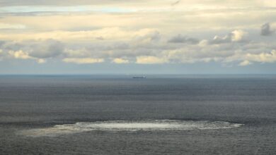 https://elpais.com/internacional/2022-10-01/el-sabotaje-a-los-gasoductos-nord-stream-un-acto-de-guerra-hibrida-con-la-colaboracion-de-un-actor-estatal.html