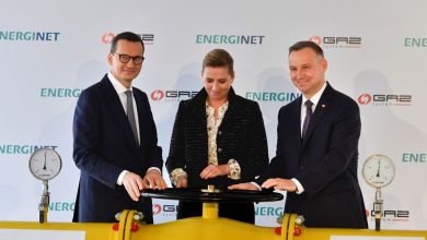 https://elpais.com/internacional/2022-10-05/polonia-pide-a-ee-uu-alojar-armas-nucleares-de-la-otan-frente-a-la-amenaza-rusa.html
