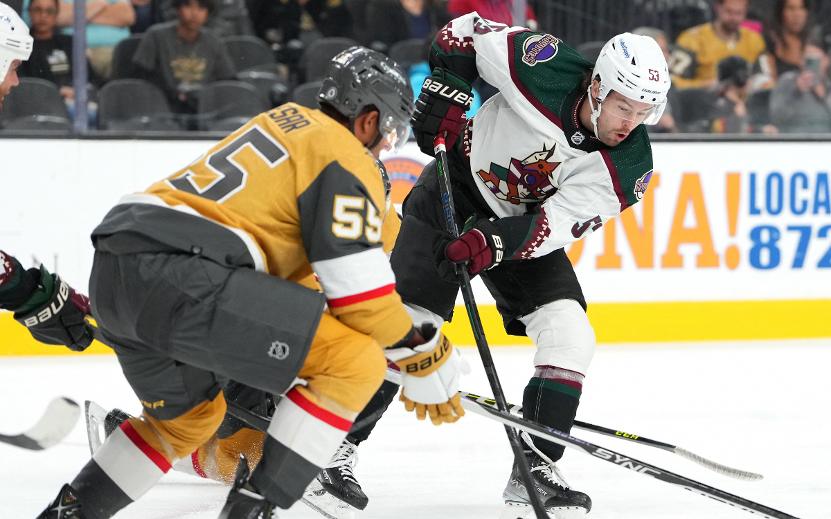 ¿Llegará el hockey de la NHL a la Ciudad de México? | Tuit