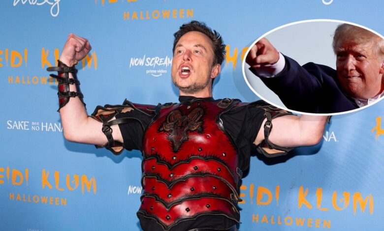 Trump y otras personas vetadas por Twitter no volverán por ahora, dice Musk
