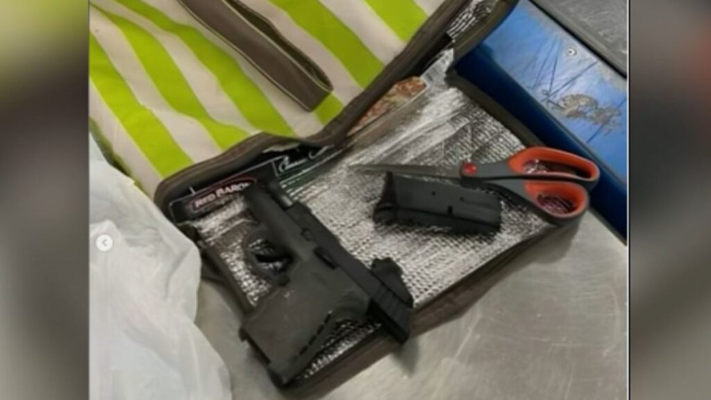 Mujer mete una pistola en una gallina cruda e intenta subirla a un avión, según las autoridades