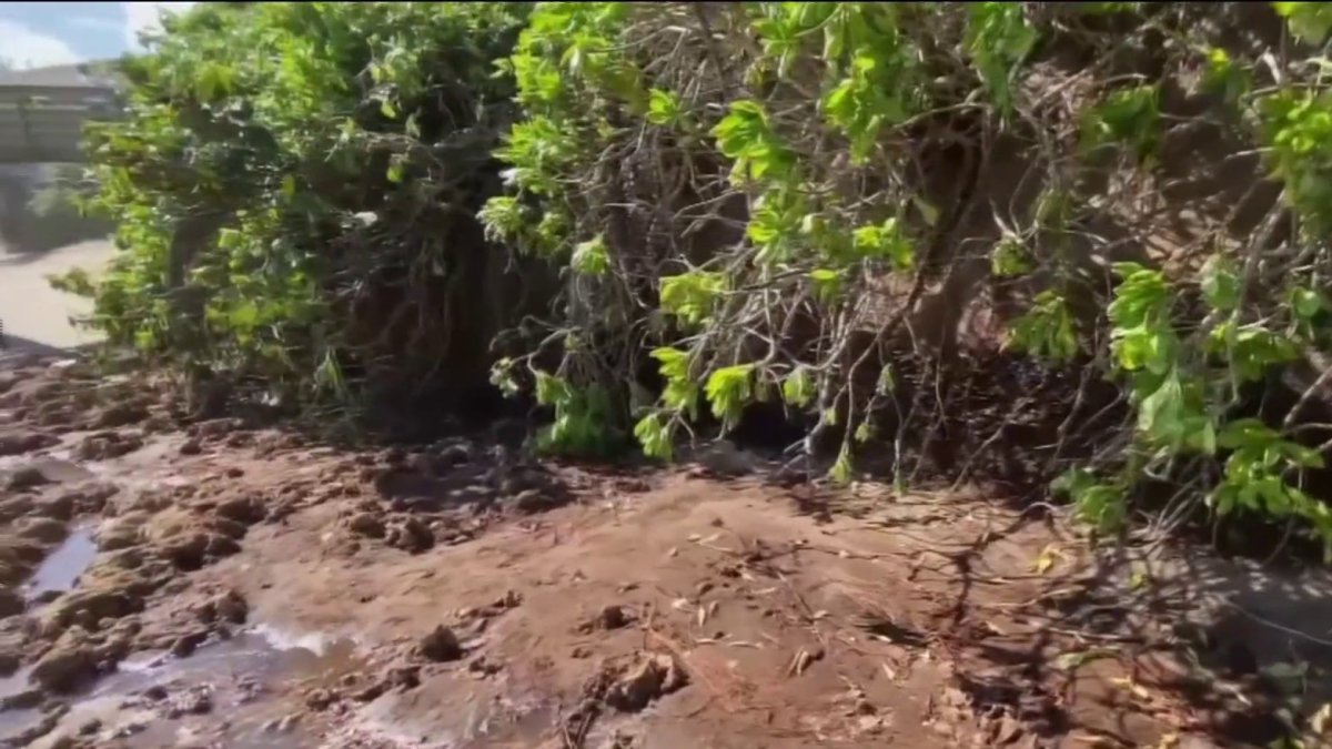 Descubren al parecer cementerio de nativos americanos