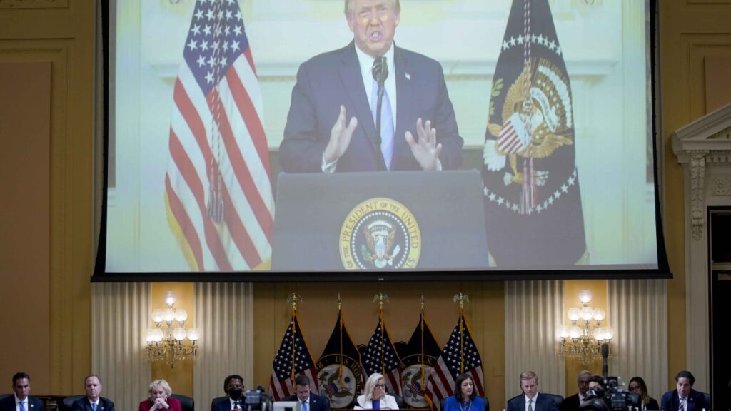 comité evalúa siguientes pasos