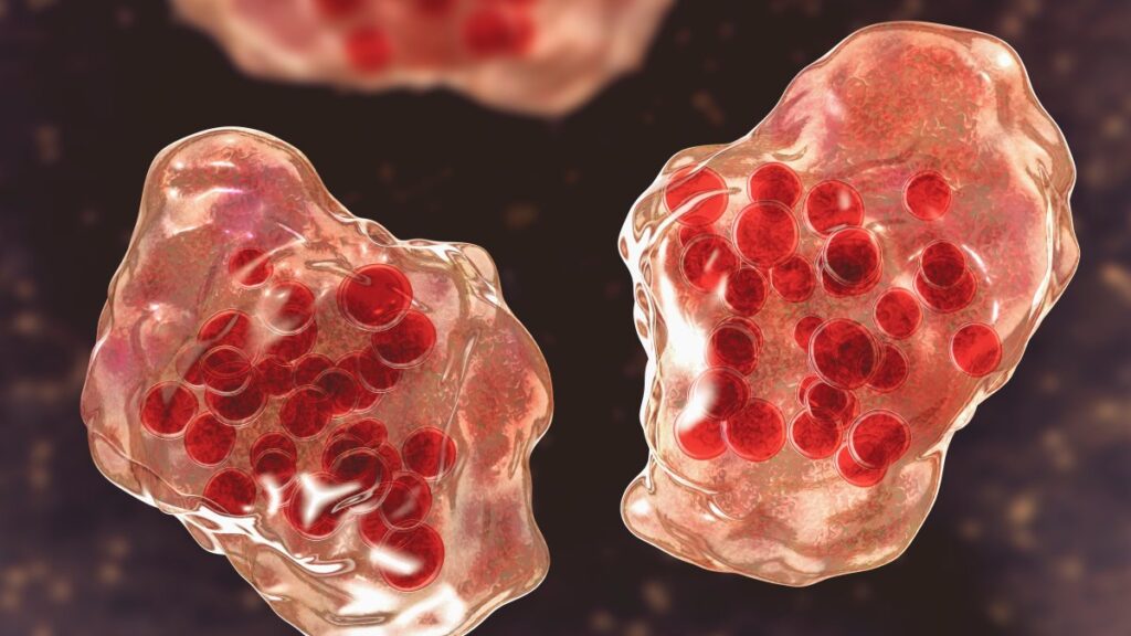 Sarampión es una amenaza mundial inminente, según nuevo informe de la OMS y los CDC