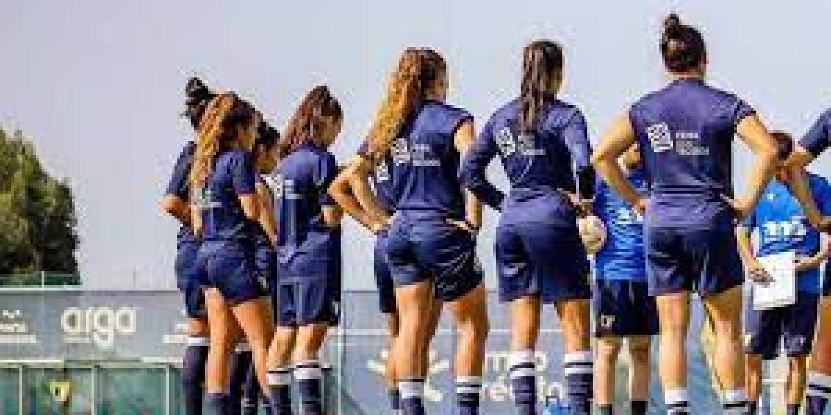 Cae otro miembro del cuerpo técnico del Famalicao por acoso