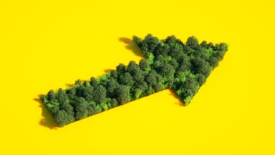 El VC coreano Sopoong cierra un fondo de $ 8M para nuevas empresas enfocadas en el impacto ambiental