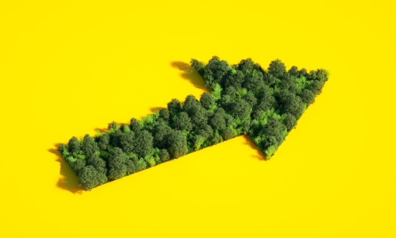 El VC coreano Sopoong cierra un fondo de $ 8M para nuevas empresas enfocadas en el impacto ambiental