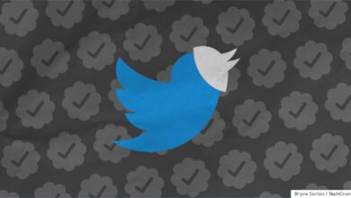 El jefe de seguridad de Twitter sugiere que más adelante se puede requerir una "verificación de identidad" más allá de la verificación paga