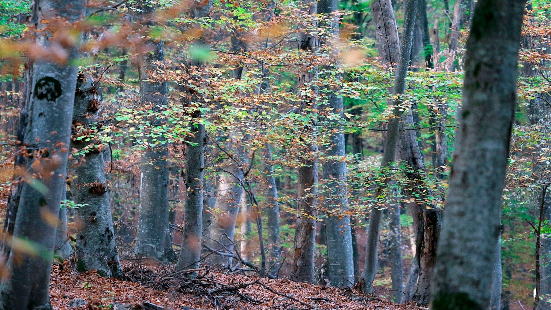 El pueblo de Madrid con un paraje único y digno de visitar una vez en la vida