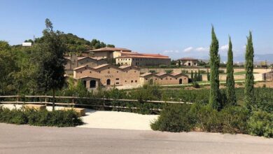 Estas son las 10 mejores bodegas para visitar este otoño