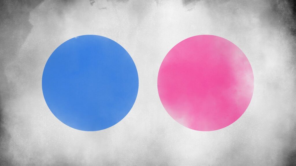 Flickr evalúa el apoyo a ActivityPub, el protocolo social que impulsa la alternativa de Twitter Mastodon